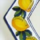 Anna Lemons su bianco
