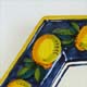 Anna Lemons su blu
